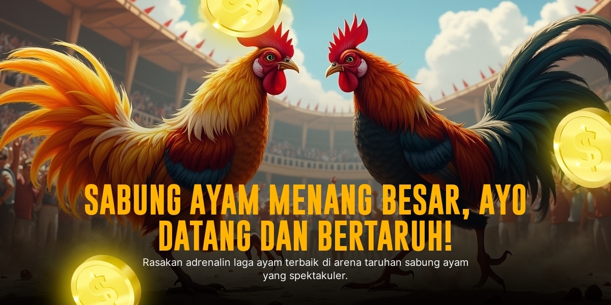 Rahasia Jenis Ayam Bangkok dalam Sabung Ayam SV388 yang Wajib Anda Tahu